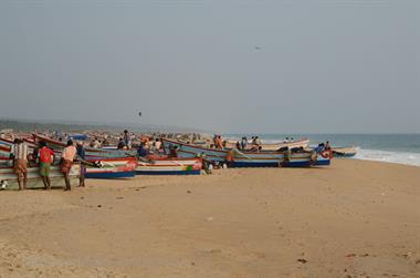 Fishing fleet, Chowara Beach,_DSC_9613_H600